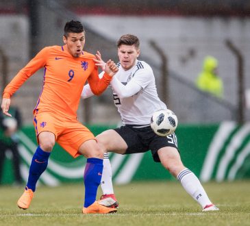 Joel Piroe PSV Eindhoven Mark van Bommel FSV Mainz 05 TSG 1899 Hoffenheim Bundesliga Juventus Turin Oranje Niederlande