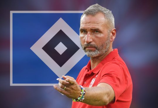 Filip Bilbija Hamburger SV Tim Walter