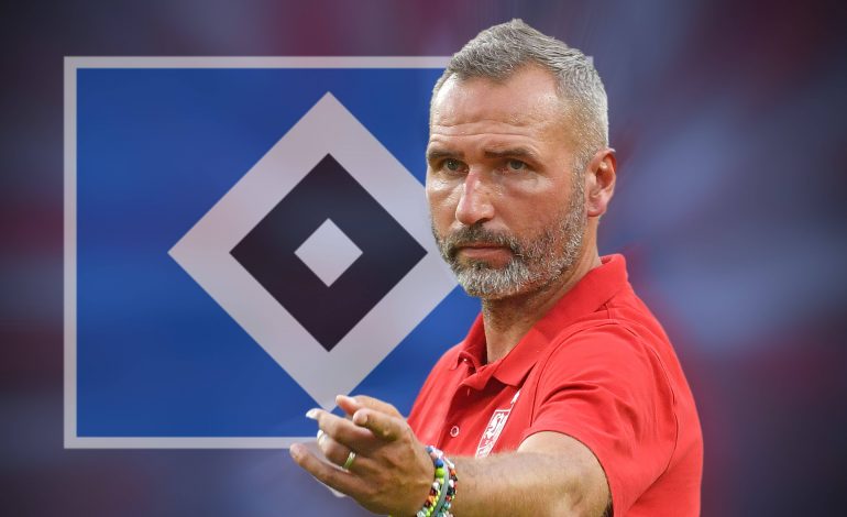 Filip Bilbija Hamburger SV Tim Walter