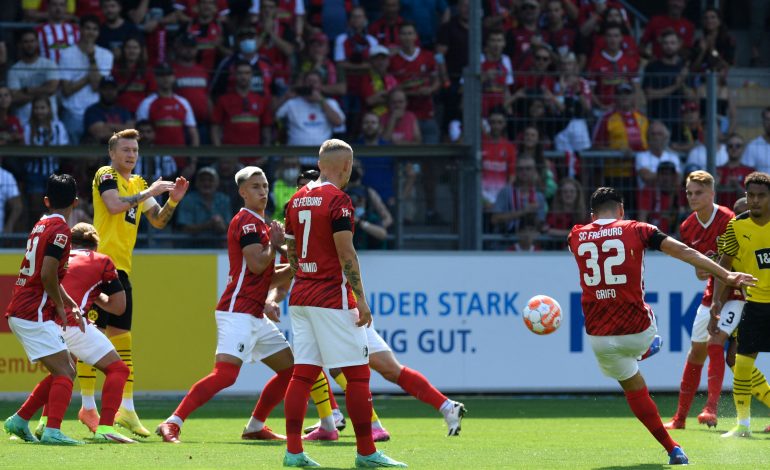 SC Freiburg BVB Bundesliga Vincenzo Grifo