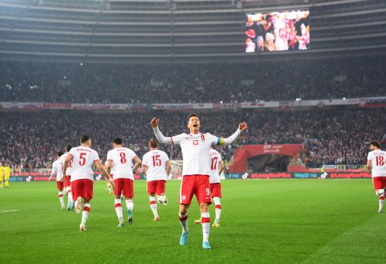 Lewandowski WM Schweden