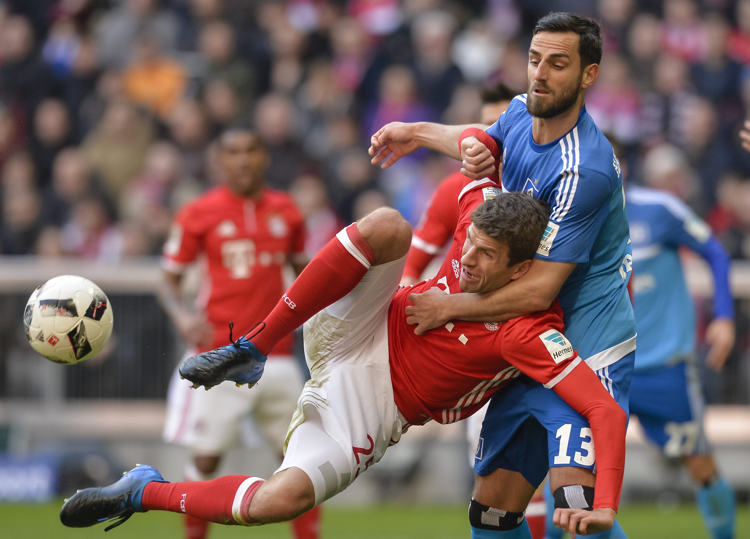 Mergim Mavraj Hamburger SV