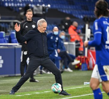 Schalke Trainer