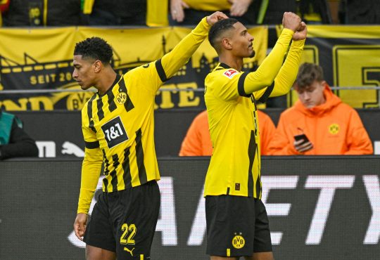 BVB Freiburg Haller