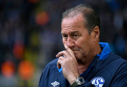 Stevens Huub FC Schalke 04 Bundesliga Hertha BSC Thomas Reis VfB Stuttgart TSG Hoffenheim Bruno Labbadia Pellegrino Matarazzo
