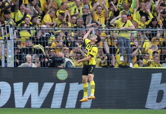 True Form BVB Bayern
