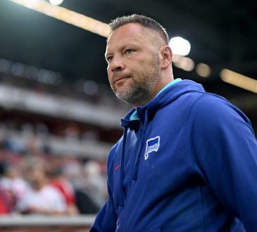 Bundesliga Pal Dardai Hertha BSC Hamburger SV