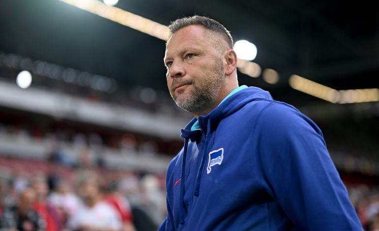 Bundesliga Pal Dardai Hertha BSC Hamburger SV