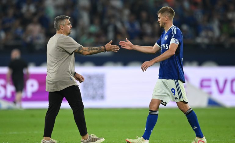 Schalke Trainer Entlassung