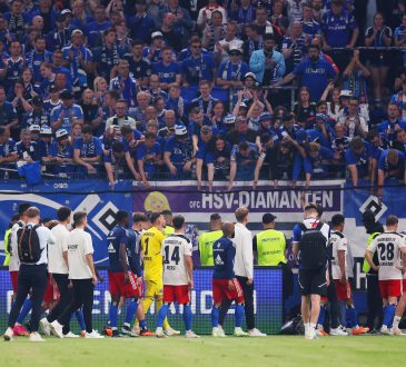 HSV Zuschauer Statistik PSG