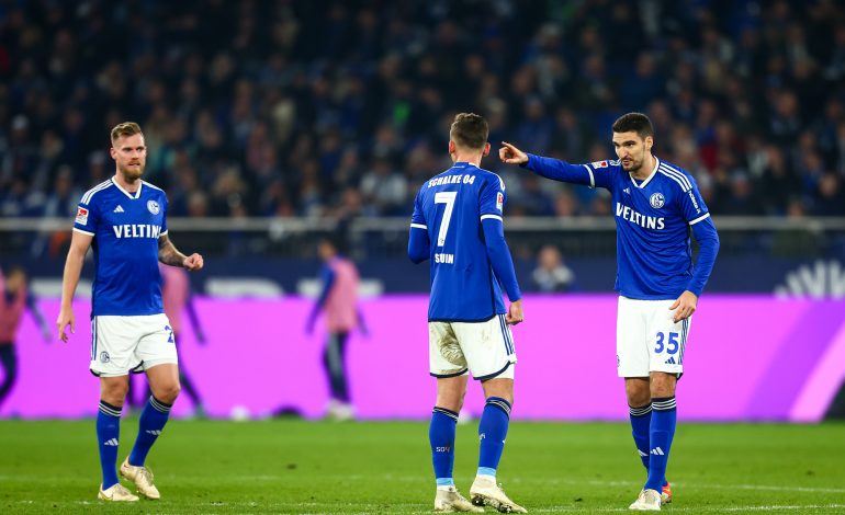 Schalke Umfrage