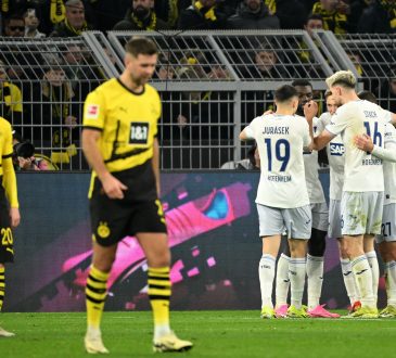 BVB Hoffenheim Zahlen