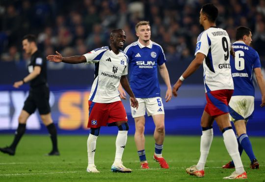 Schalke Hamburger SV
