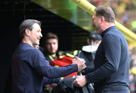 Ralph Hasenhüttl Entlassung