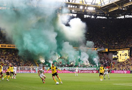 BVB Wolfsburg