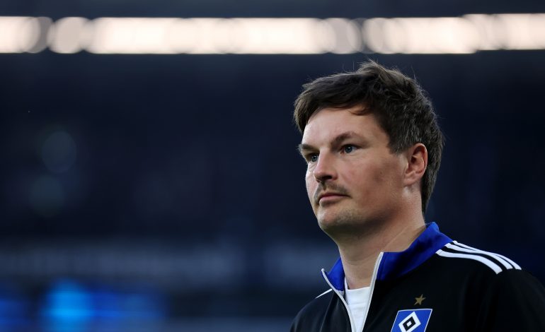 Bundesliga Voraussichtliche Aufstellungen Hamburger SV HSV Merlin Polzin