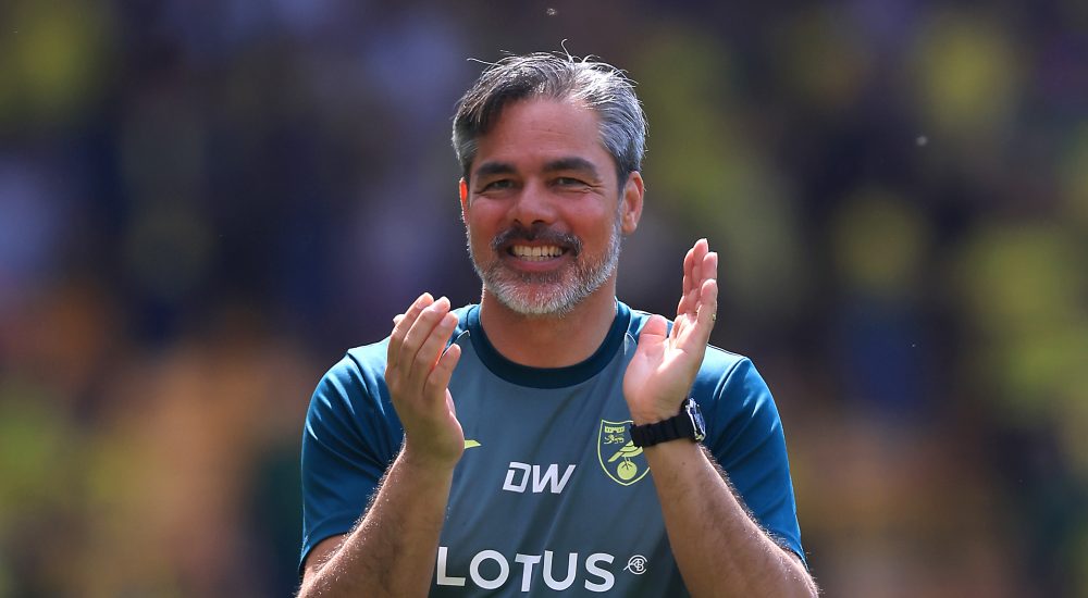 David Wagner Norwich City