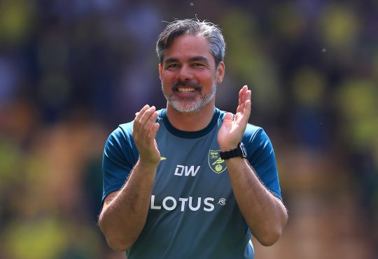 David Wagner Norwich City