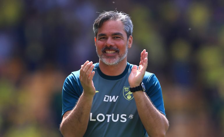 David Wagner Norwich City