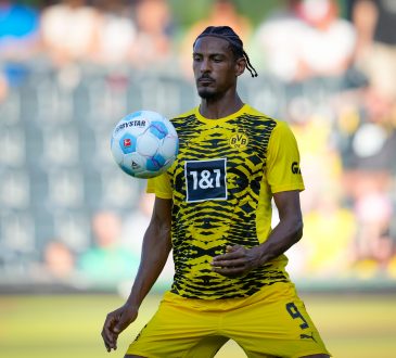 BVB Transfers