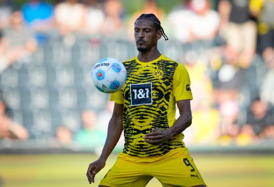 BVB Transfers