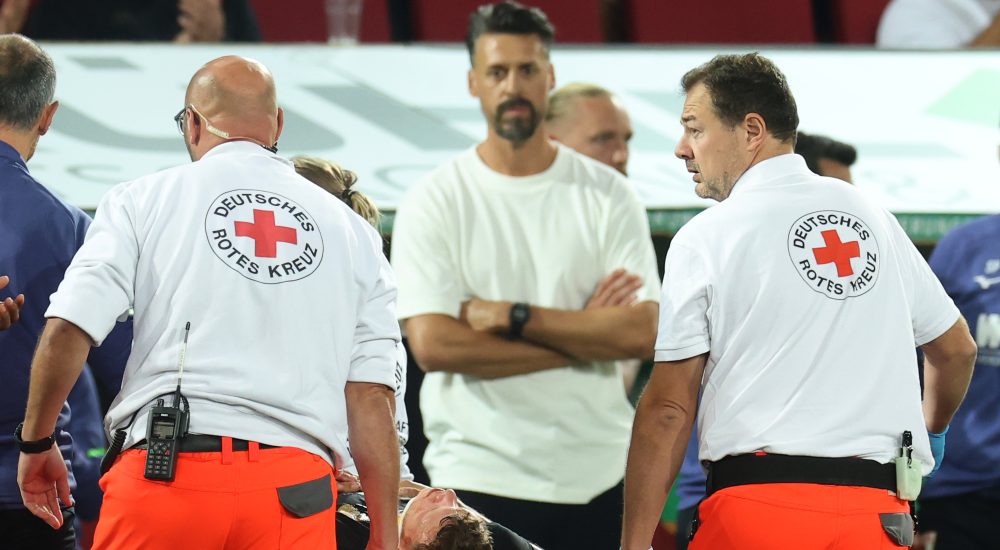 Sandro Wagner, Robin Fellhauer, FC Augsburg