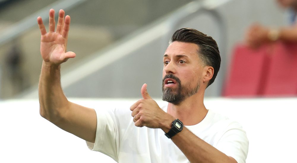 Sandro Wagner, FC Augsburg