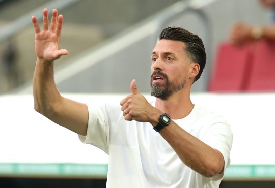 Sandro Wagner, FC Augsburg