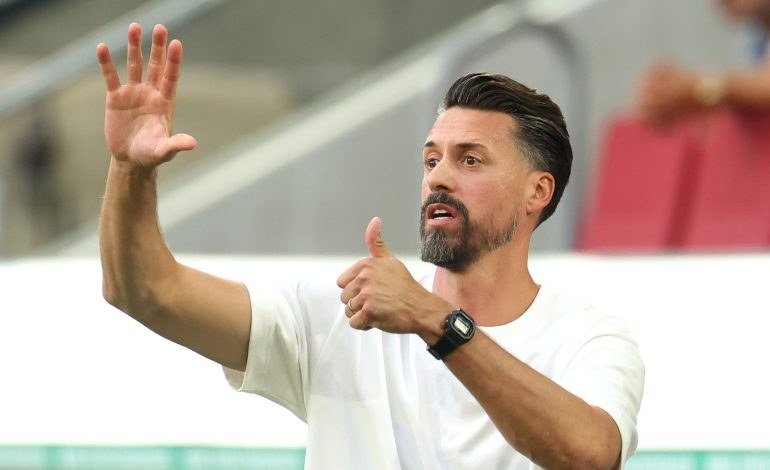 Sandro Wagner, FC Augsburg