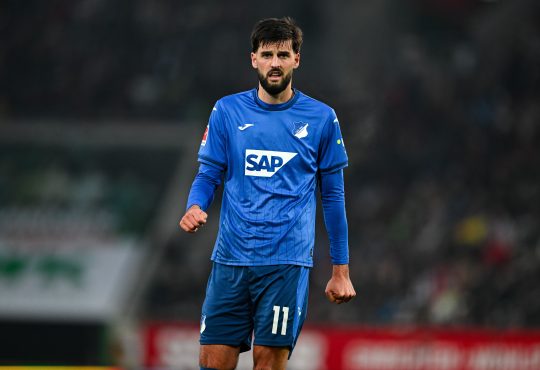 Florian Grillitsch, TSG Hoffenheim