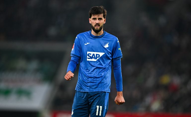 Florian Grillitsch, TSG Hoffenheim