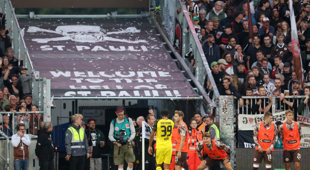 Pauli BVB
