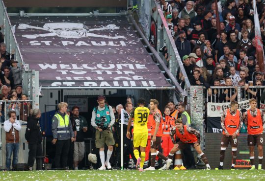 Pauli BVB