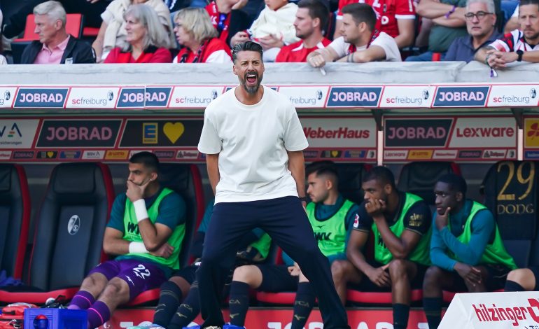 Bundesliga Voraussichtliche Aufstellungen Sandro Wagner FC Augsburg FC Bayern München