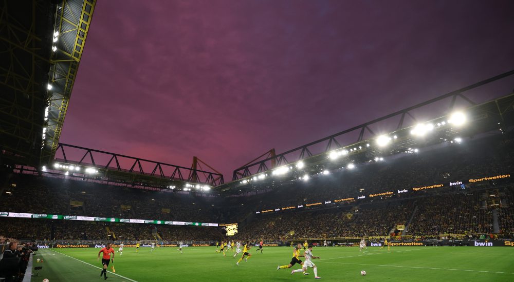 BVB Wolfsburg