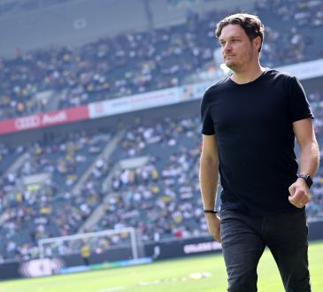 Edin Terzic, Borussia Dortmund