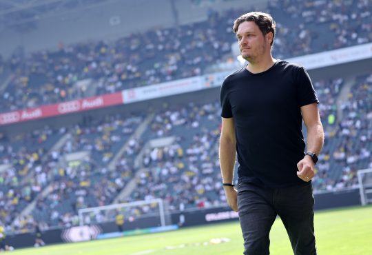 Edin Terzic, Borussia Dortmund