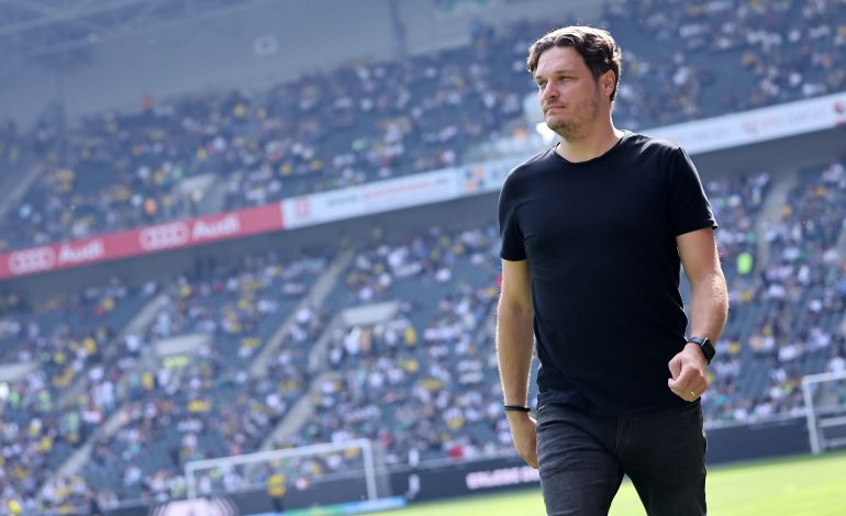 Edin Terzic, Borussia Dortmund