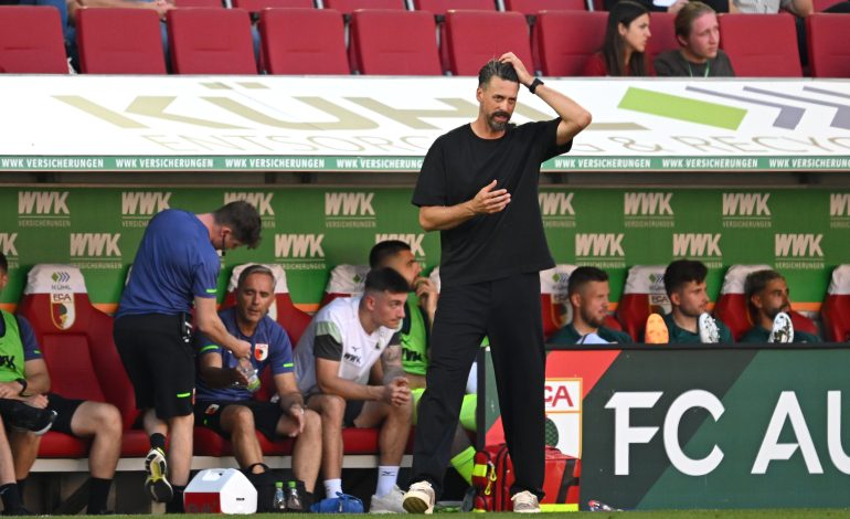 Sandro Wagner, FC Augsburg
