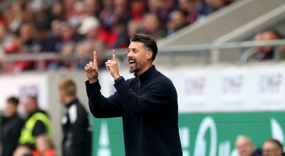 Sandro Wagner, FC Augsburg