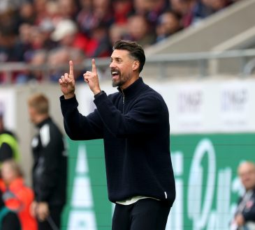 Sandro Wagner, FC Augsburg