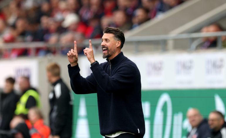 Sandro Wagner, FC Augsburg