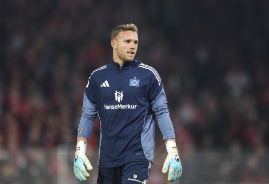 Daniel Peretz, HSV