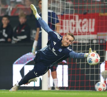 Daniel Peretz, HSV