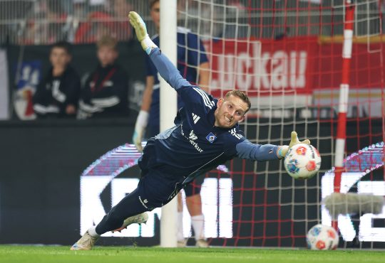 Daniel Peretz, HSV
