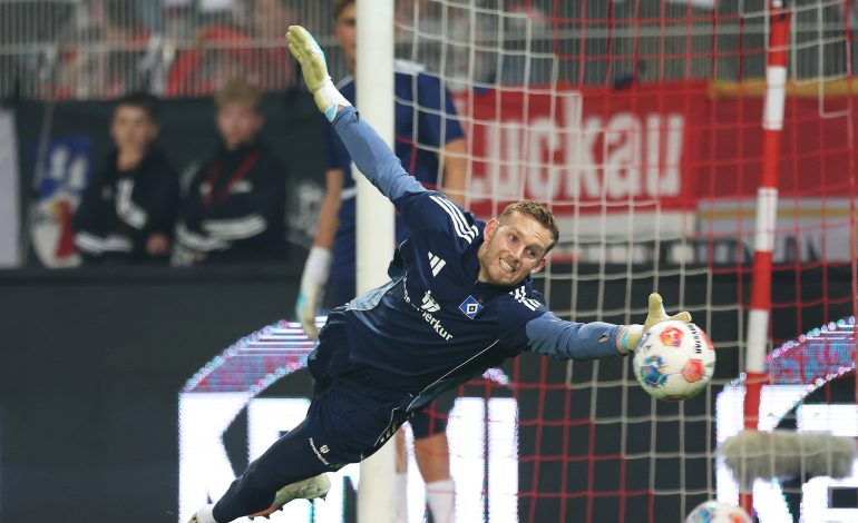Daniel Peretz, HSV