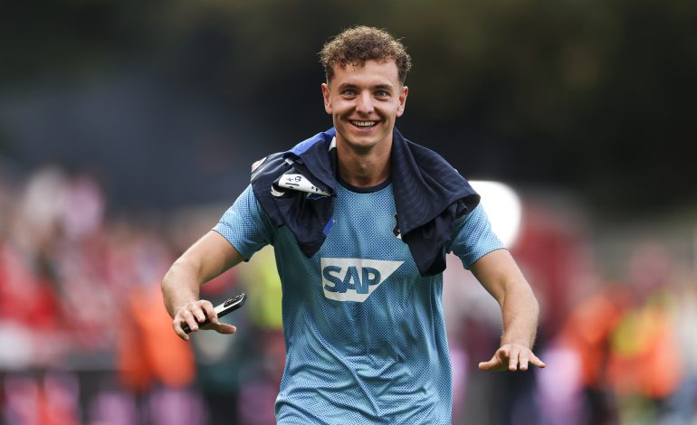 Fisnik Asllani, TSG Hoffenheim