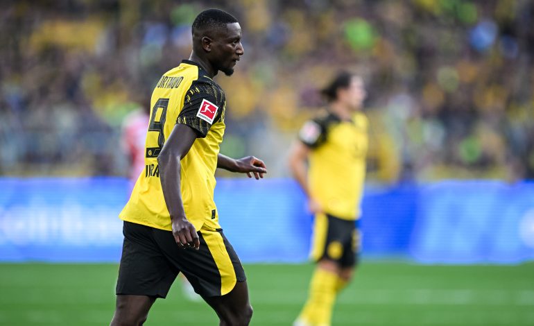 Serhou Guirassy, BVB