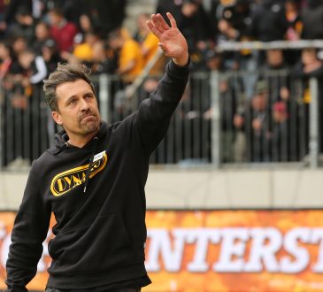 Thomas Stamm, Dynamo Dresden