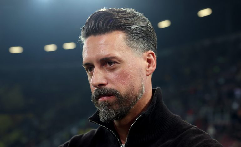 Sandro Wagner, FCA